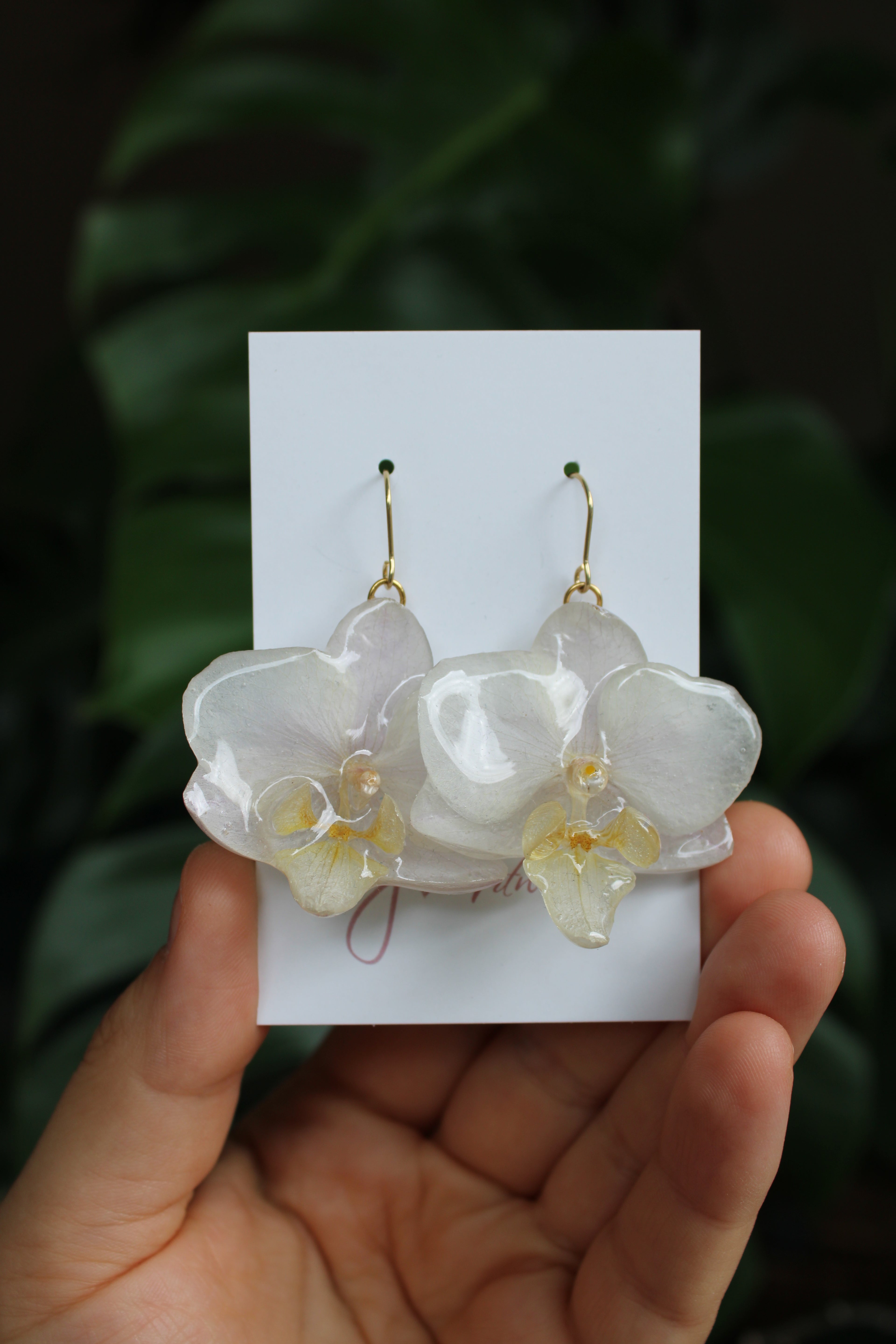 Echte Orchideenblüten Ohrringe hellrosa weiß gelb mit goldfarbenen Anhängern