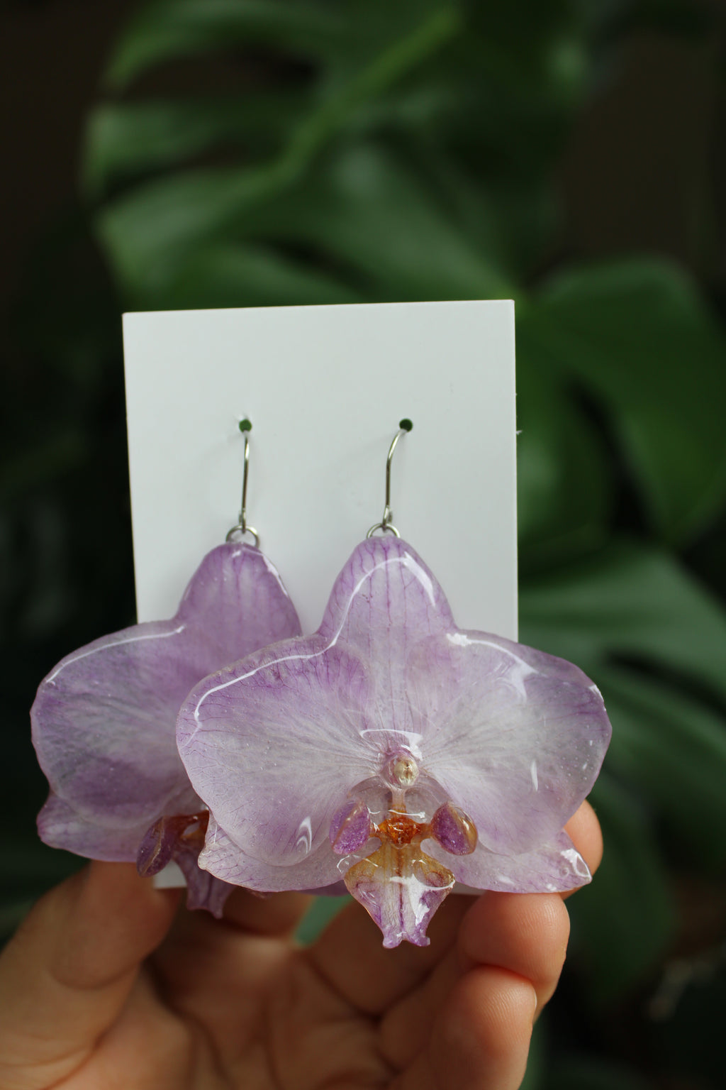 Echte Orchideenblüten Ohrringe lila gelb mit silberfarbenen Anhängern