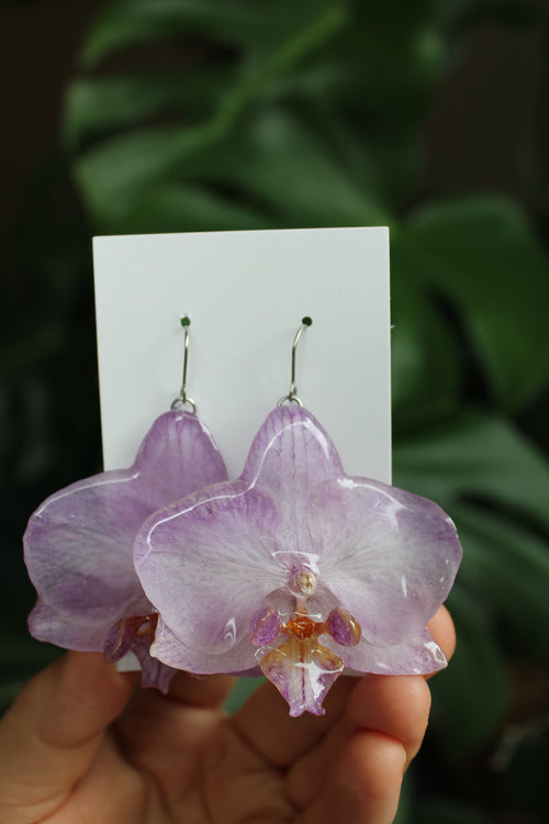 Echte Orchideenblüten Ohrringe lila gelb mit silberfarbenen Anhängern