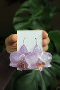 Echte Orchideenblüten Ohrringe lila gelb mit silberfarbenen Anhängern